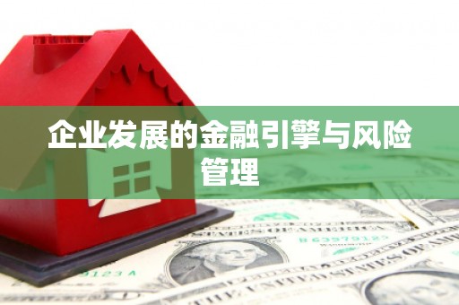 五河企业发展的金融引擎与风险管理