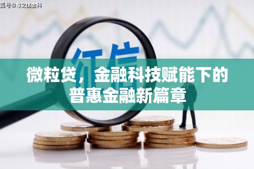 五河微粒贷，金融科技赋能下的普惠金融新篇章