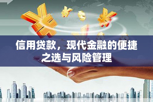 五河信用贷款，现代金融的便捷之选与风险管理