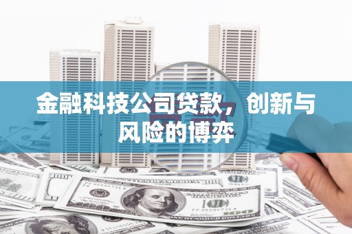 五河金融科技公司贷款，创新与风险的博弈