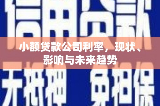 五河小额贷款公司利率，现状、影响与未来趋势