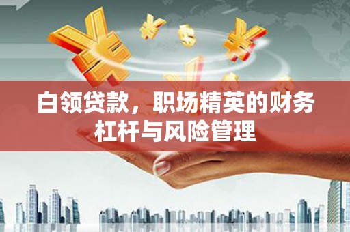五河白领贷款，职场精英的财务杠杆与风险管理