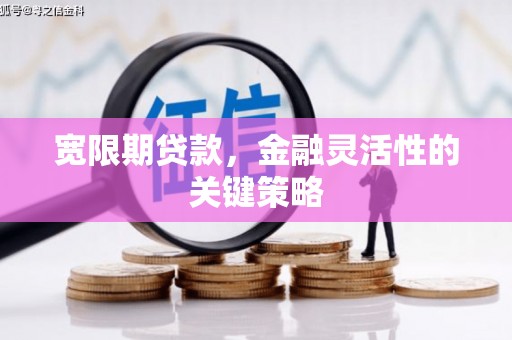五河宽限期贷款，金融灵活性的关键策略