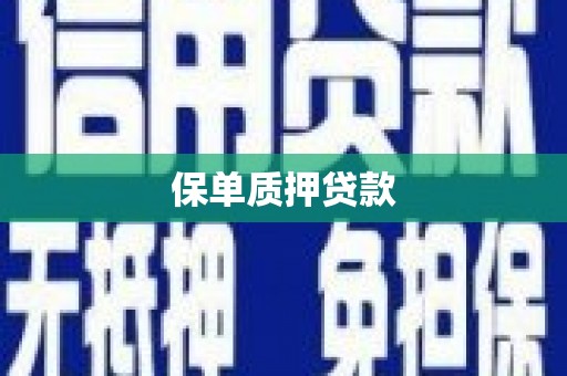 五河保单质押贷款