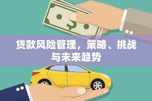 五河贷款风险管理，策略、挑战与未来趋势