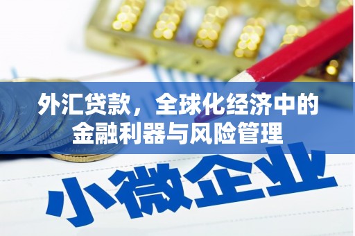 五河外汇贷款，全球化经济中的金融利器与风险管理