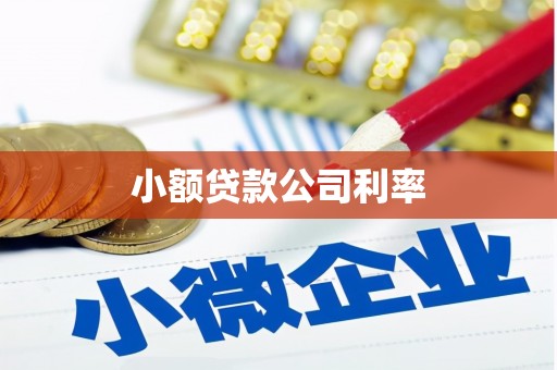 五河小额贷款公司利率