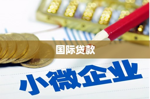 五河国际贷款