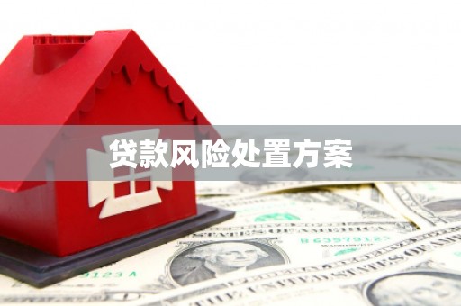 五河贷款风险处置方案
