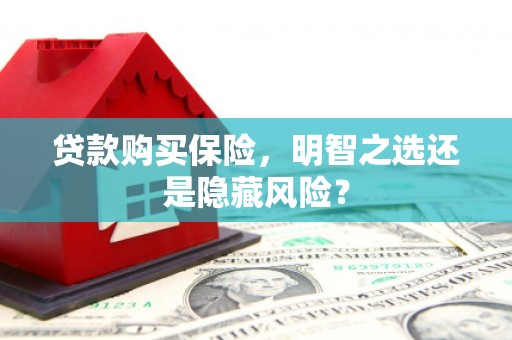 五河贷款购买保险，明智之选还是隐藏风险？