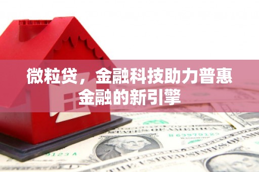 五河微粒贷，金融科技助力普惠金融的新引擎