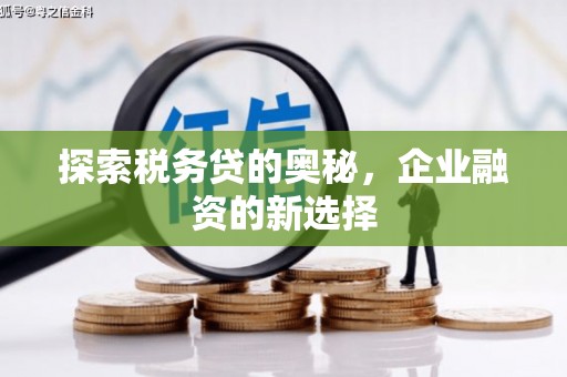 五河探索税务贷的奥秘，企业融资的新选择