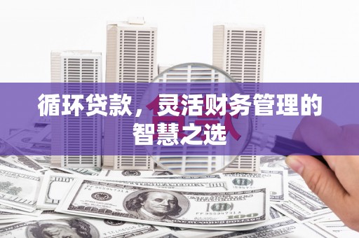 五河循环贷款，灵活财务管理的智慧之选
