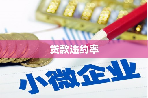 五河贷款违约率