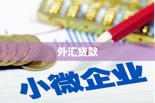 五河外汇贷款