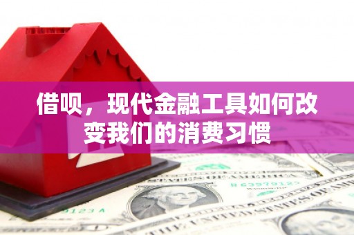 五河借呗，现代金融工具如何改变我们的消费习惯