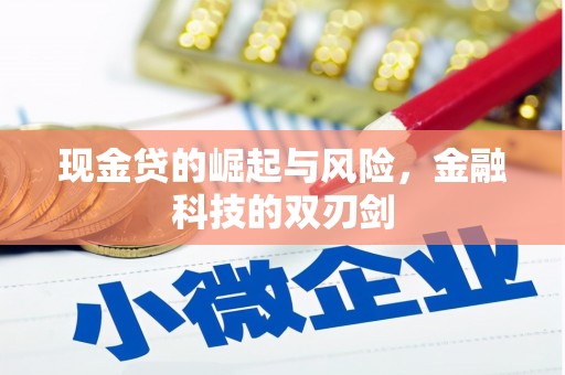 五河现金贷的崛起与风险，金融科技的双刃剑