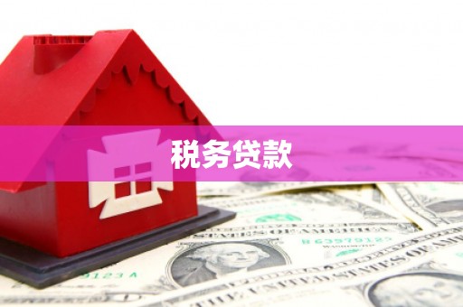 五河税务贷款