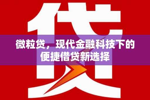 五河微粒贷，现代金融科技下的便捷借贷新选择