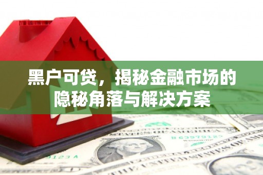 五河黑户可贷，揭秘金融市场的隐秘角落与解决方案