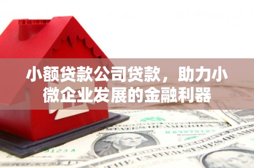 五河小额贷款公司贷款，助力小微企业发展的金融利器