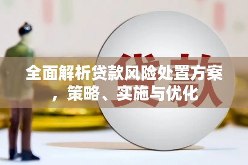 五河全面解析贷款风险处置方案，策略、实施与优化