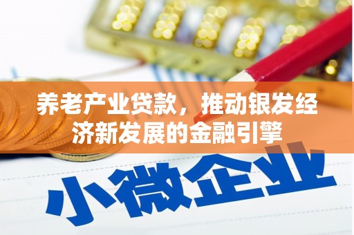 五河养老产业贷款，推动银发经济新发展的金融引擎