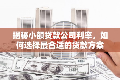 五河揭秘小额贷款公司利率，如何选择最合适的贷款方案