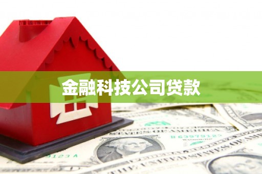 五河金融科技公司贷款