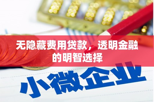 五河无隐藏费用贷款，透明金融的明智选择