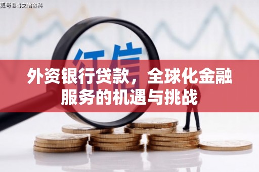 五河外资银行贷款，全球化金融服务的机遇与挑战