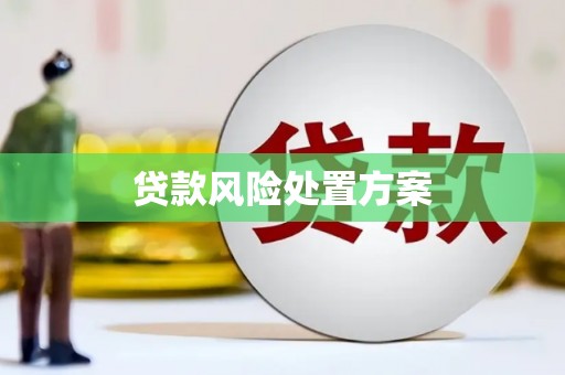 五河贷款风险处置方案