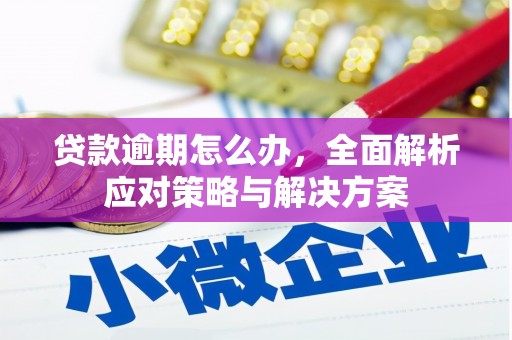 五河贷款逾期怎么办，全面解析应对策略与解决方案