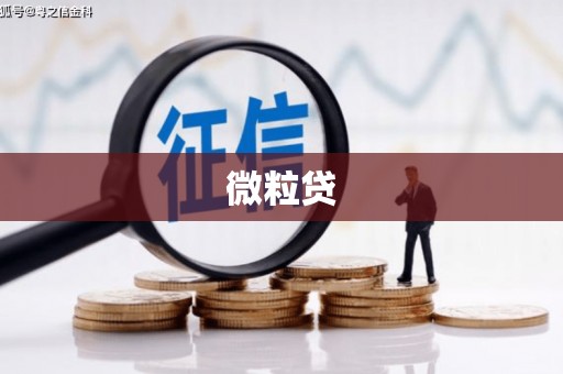 五河微粒贷