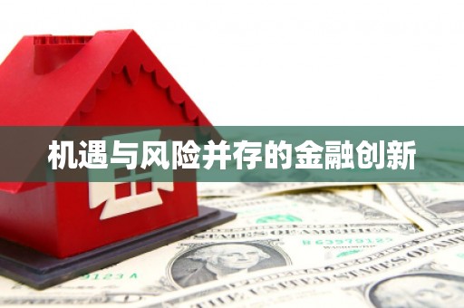 五河机遇与风险并存的金融创新
