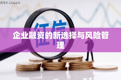 五河企业融资的新选择与风险管理