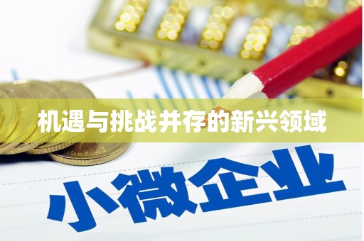 五河机遇与挑战并存的新兴领域