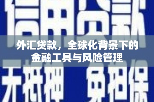 五河外汇贷款，全球化背景下的金融工具与风险管理